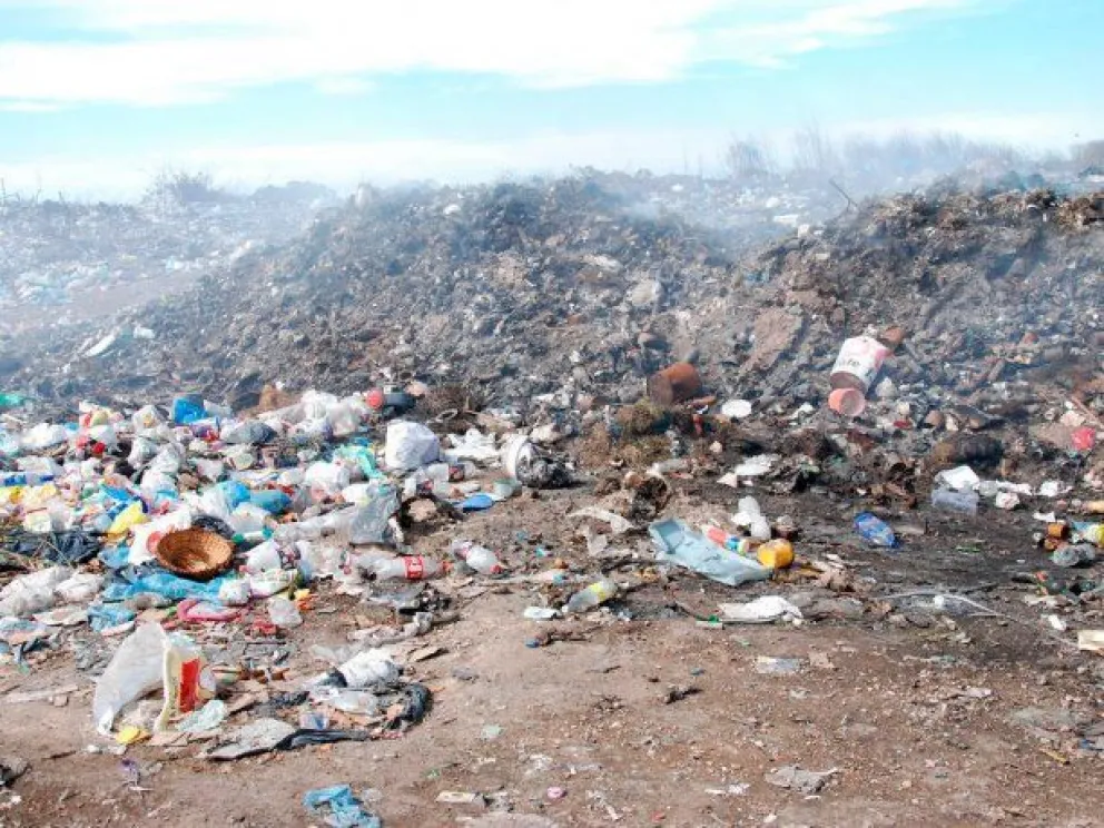 Tragedia: Un cartonero murió aplastado por un camión de basura mientras recolectaba material reciclable 