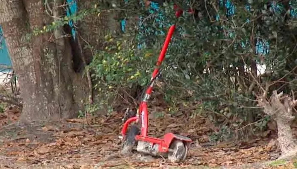 Conmoción mundial: una nena mató a golpes a su hermanito de cuatro años