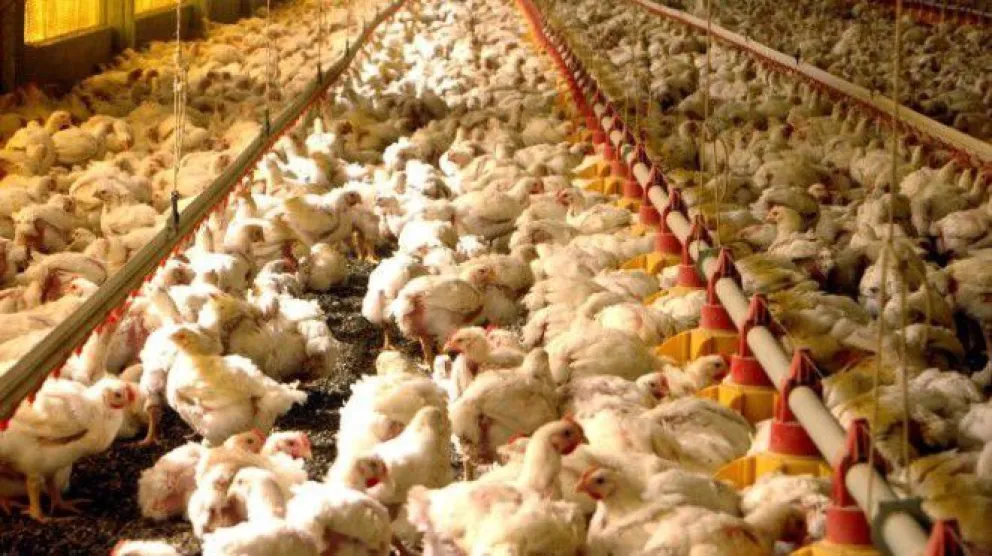 Analizan herramientas para mejorar la competitividad de las empresas rionegrinas