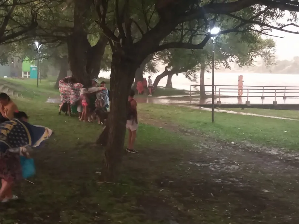 Tiempo loco: La lluvia obligó a la gente a refugiarse bajo los árboles, y luego asomó el sol