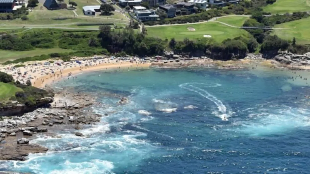 VIDEO: Un nadador fue devorado por un tiburón
