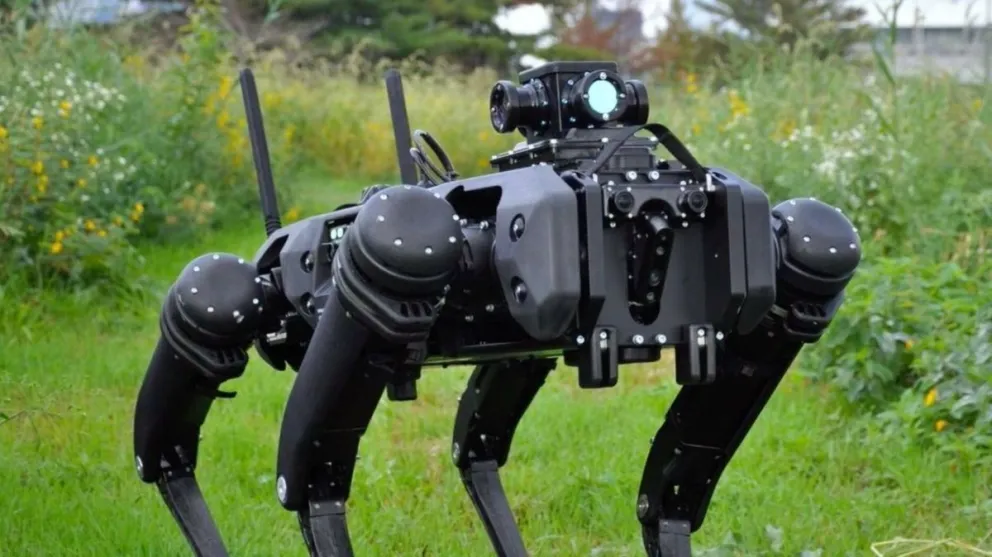 Los perros robot que custodian la frontera de Estados Unidos y México