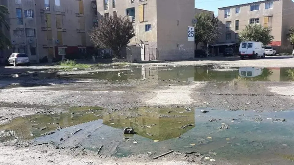 Vecinos del barrio América están hartos de la polución ambiental por efluentes cloacales