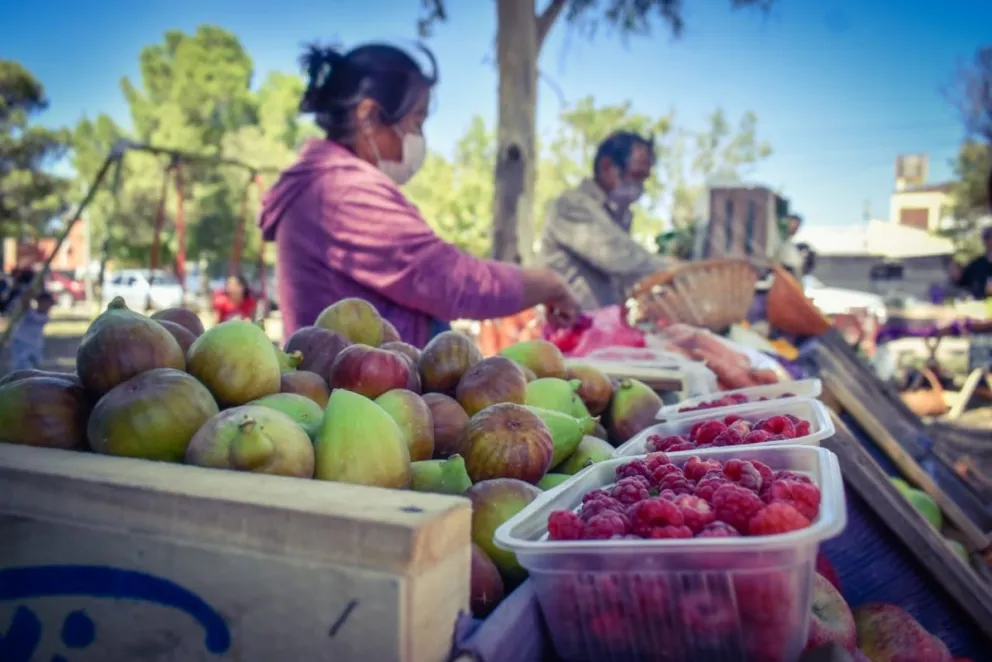 Feria agroecológica de Viedma: Todo sano y el fomento a un comercio de cercanía