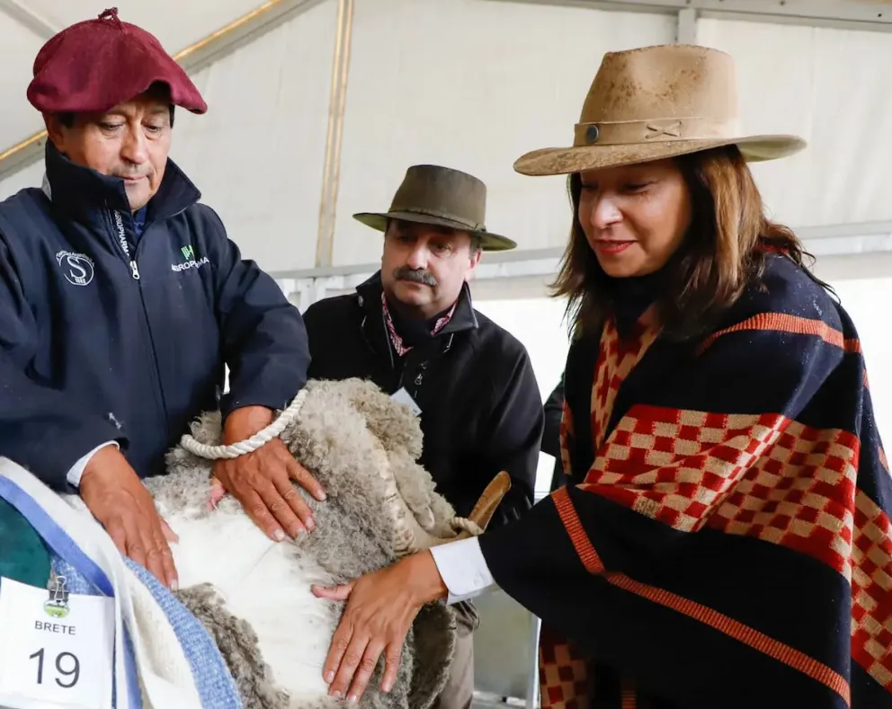 Carreras anunció la regularización de la propiedad de la tierra en inmuebles rurales