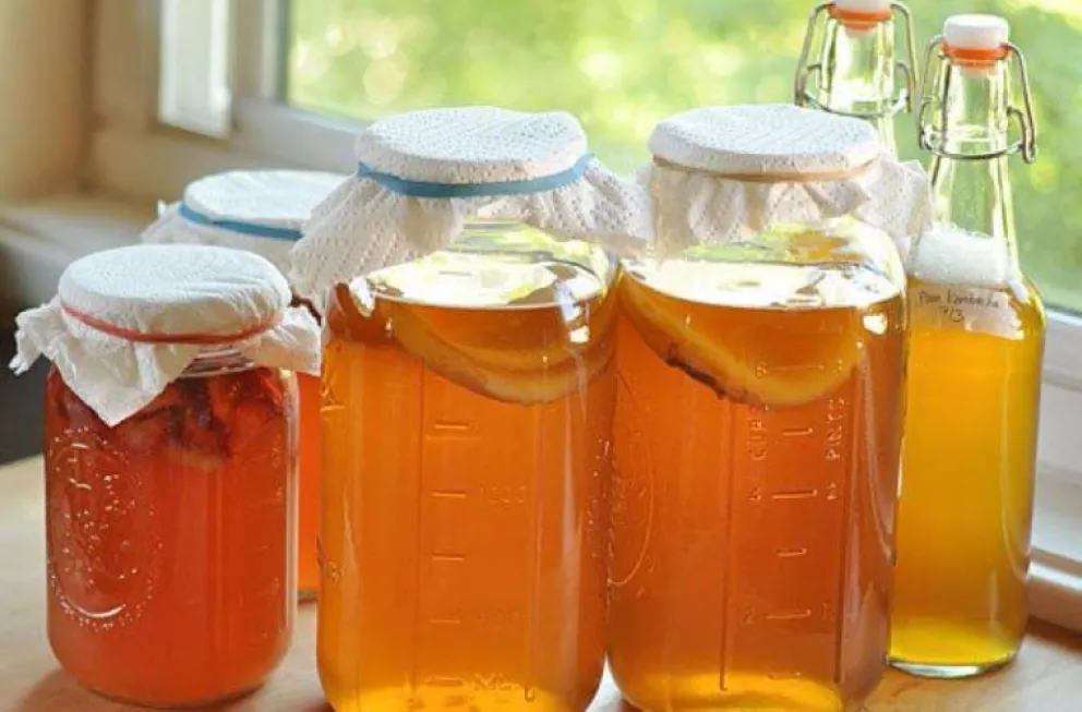 Qué es la kombucha y cuales son sus beneficios