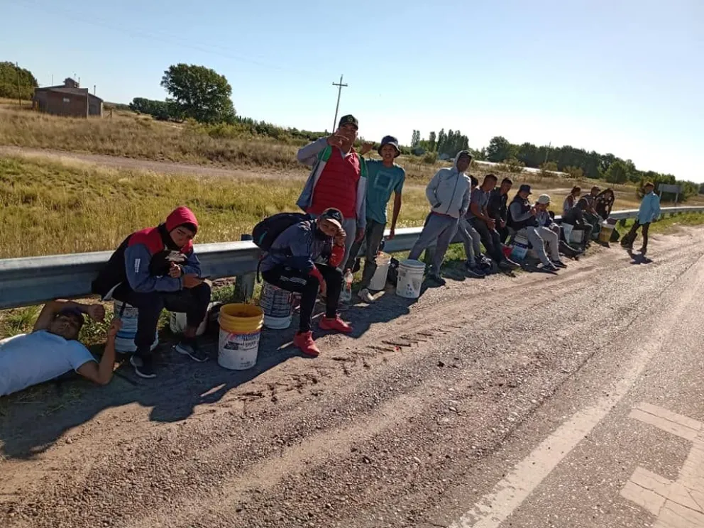 El drama de los cosecheros de cebolla: Se quedaron de a pie y no pueden ir a trabajar al campo