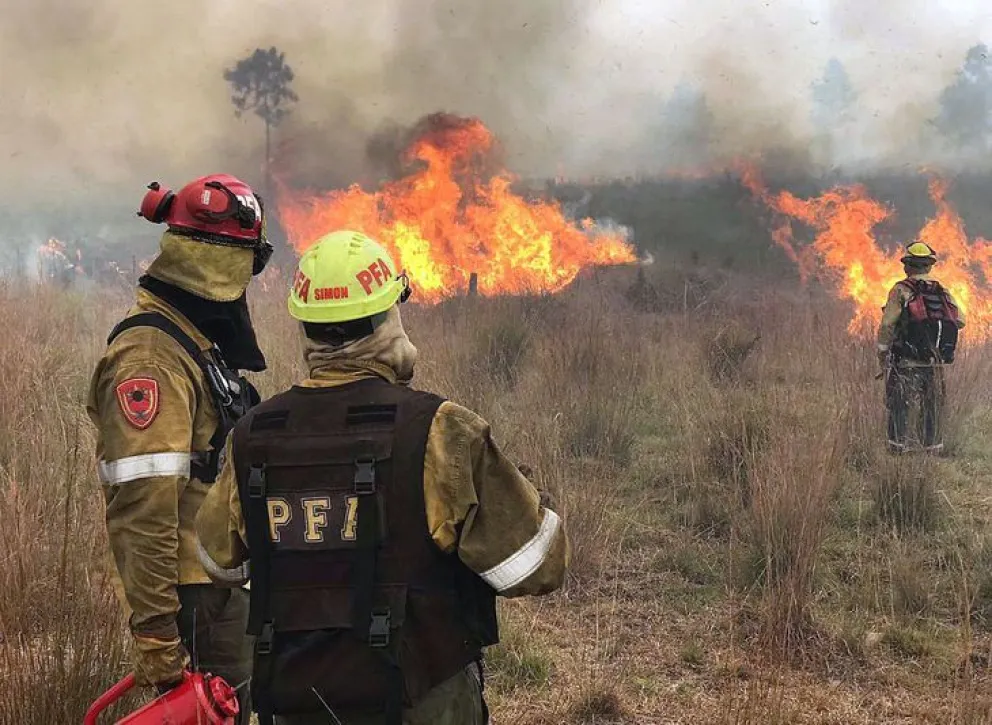Polémica: el gobernador de Corrientes destinará para el carnaval lo mismo que Santi Maratea recaudó para combatir los incendios 