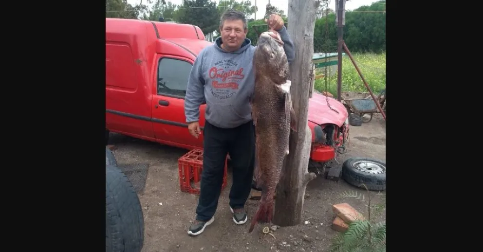 No necesita Photoshop: un maragato pescó una corvina de más de 30 kilos