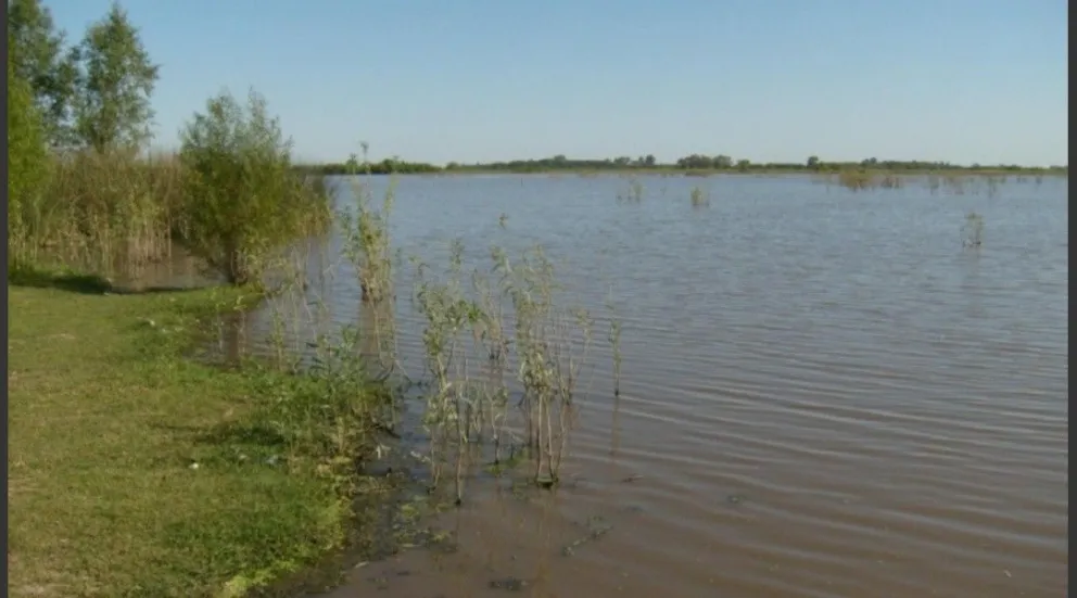 Terrible: lo mataron a disparos y arrojaron su cuerpo a un dique