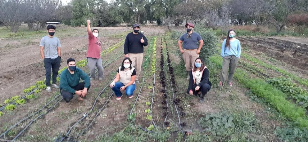 Una cooperativa de ex alumnos ofrece frutas y verduras agroecológicas