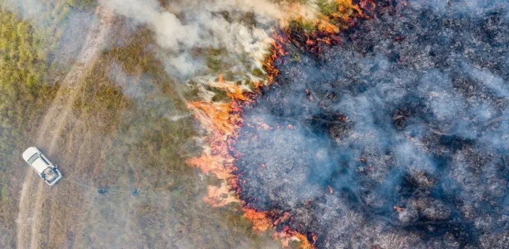 Los incendios quemaron el 40% del Parque Nacional Iberá: “De esto se sale”