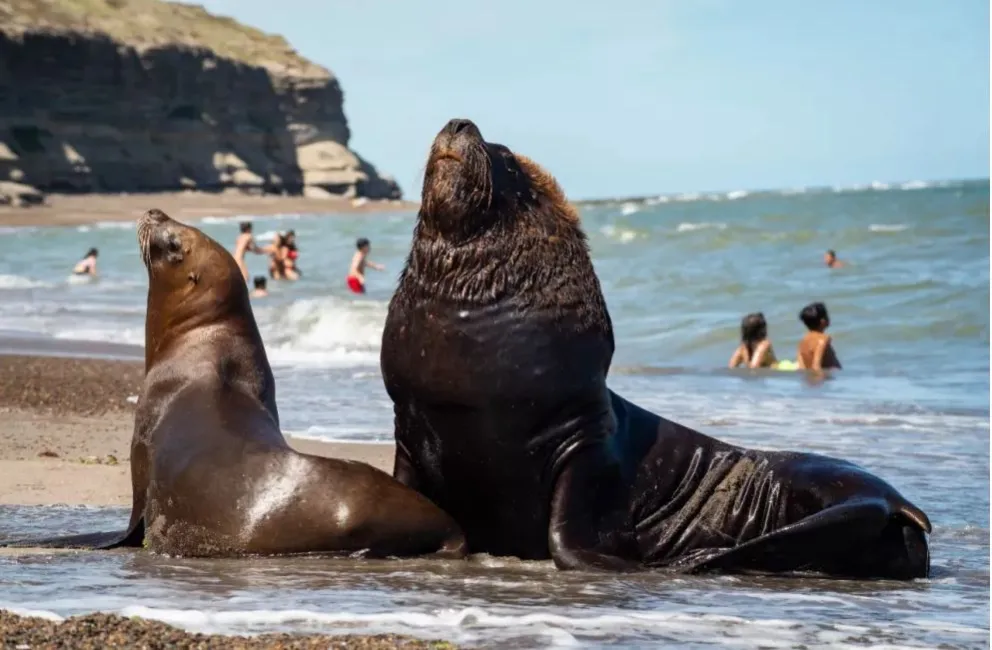 La Secretaría de Ambiente vuelve a la Justicia por falsas acusaciones de vecinos de La Lobería