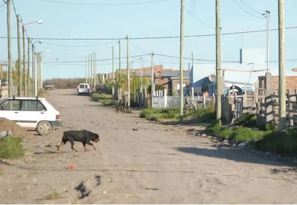 Se viene la huerta comunitaria del barrio 30 de Marzo con apoyo de la UNRN