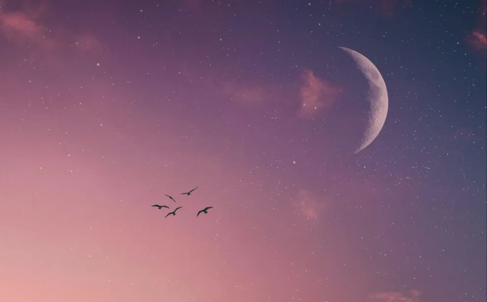 Cómo afectará la luna nueva en Piscis a cada signo del zodíaco 