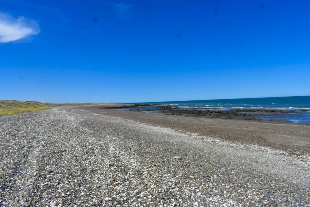 Un hombre murió mientras conducía su camioneta por el Camino de la Costa
