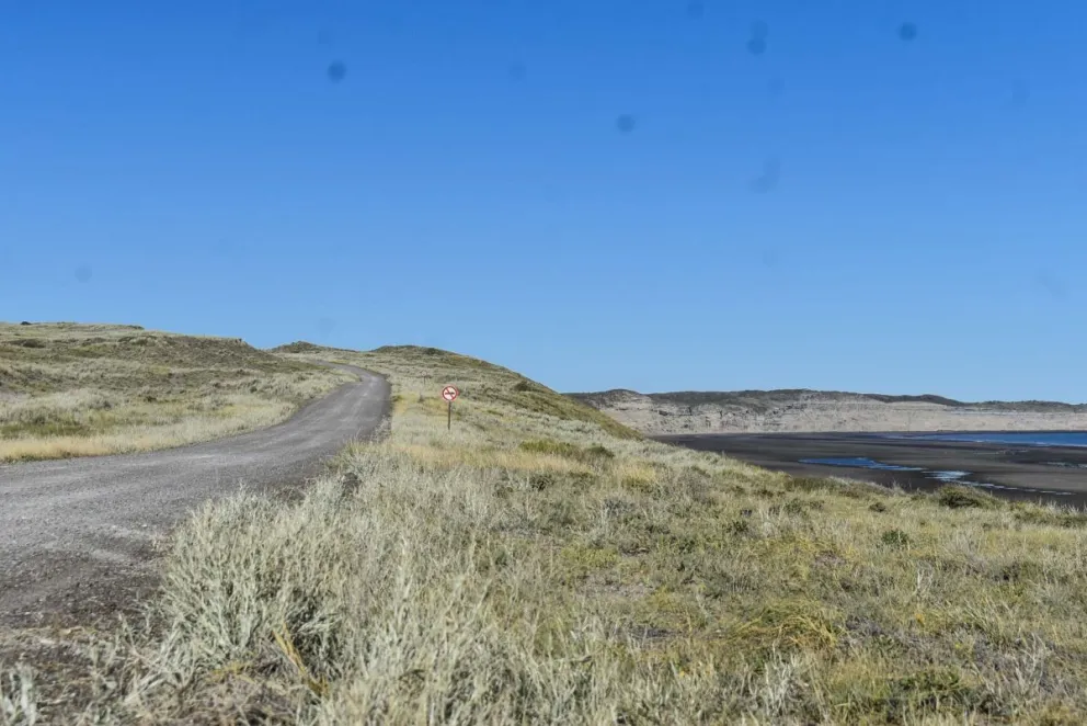 Más acciones para la recuperación del monte nativo rionegrino
