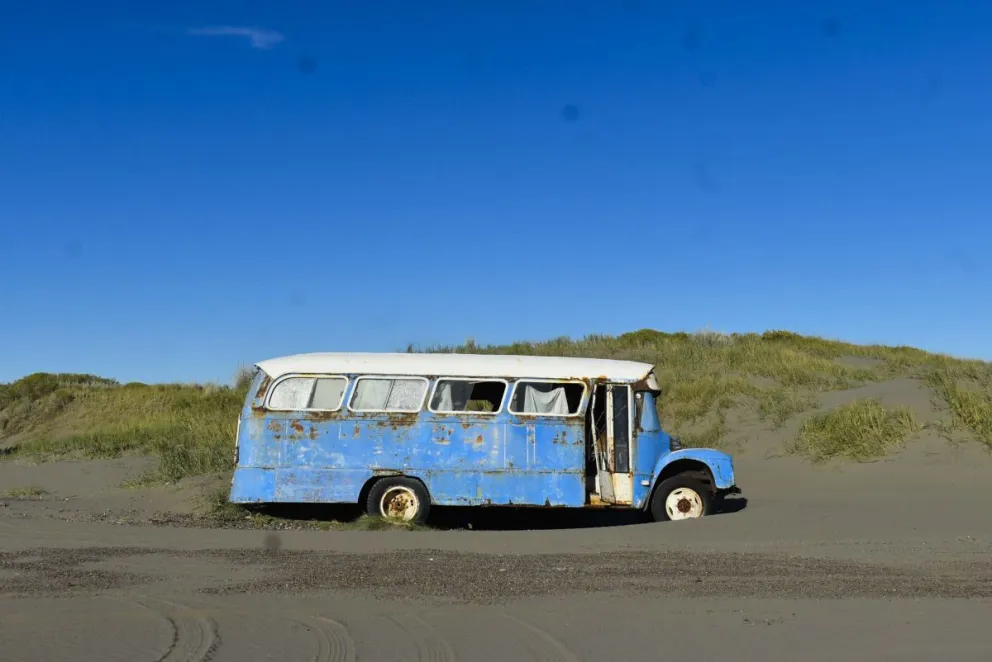 Colectivos abandonados devalúan el paisaje, juntan alimañas y crean médanos movedizos 