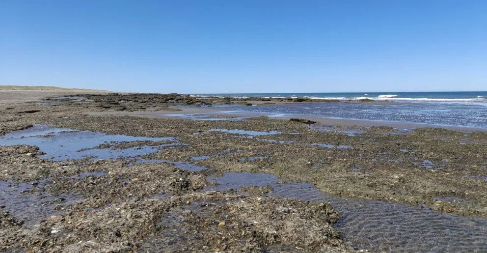 Con base en el corredor turístico del Camino de la Costa.