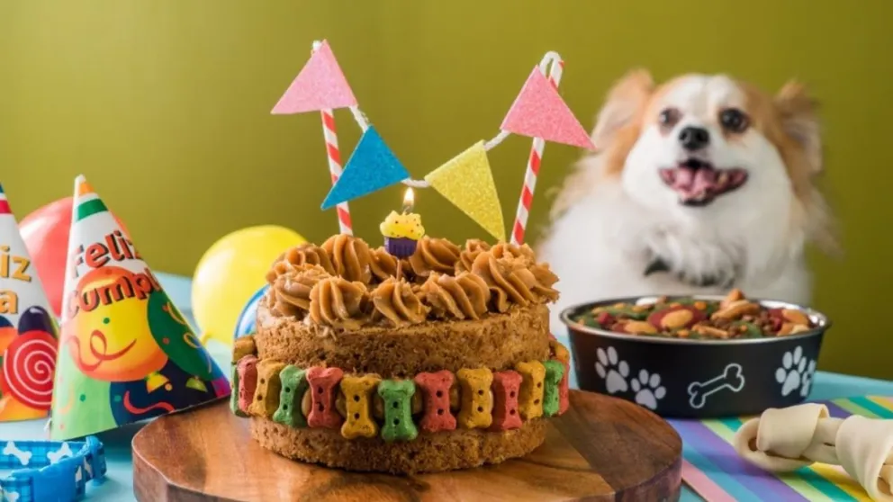 Le organizaron una fiesta de cumpleaños a un perro con payaso y torta incluidos