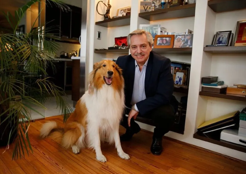 Aníbal Fernández contrató al adiestrador de Dylan en el Ministerio de Seguridad: "Me importa un culo"