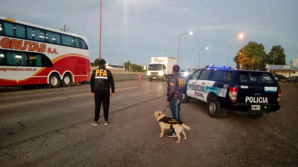 Encuentran droga en un colectivo a la salida de Viedma y hay un detenido