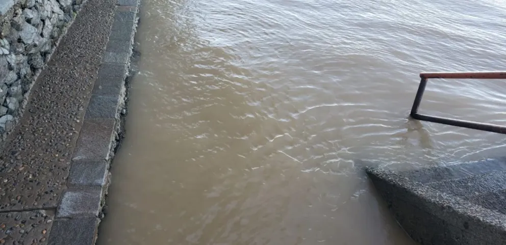 Otra vez el río Negro está de color marrón